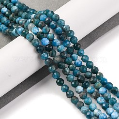 Natural Apatite Beads Strands&nbsp;X-G-F770-C02-02
