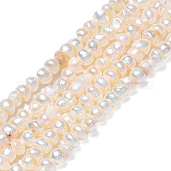 天然養殖淡水パール ビーズ 連  フラットラウンド  貝殻色  3~4x2.5~3mm  穴：0.6mm  約148~152個/連  14.09インチ〜14.25インチ（35.8~36.2cm）&nbsp;PEAR-N015-03B