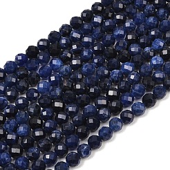 Natural Sodalite Beads Strands&nbsp;G-B175-D09-6mm