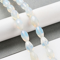 オパールビーズ連売り  多面カットコメ  12.5x8mm  穴：1.2mm  約16個/連  7.68インチ（19.5cm）&nbsp;G-P520-C23-01