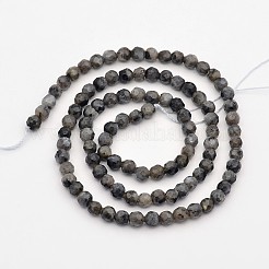 ファセットラウンド天然ラルビカイトビーズ連売り  4mm  穴：1mm  約90個/連  15.35インチ&nbsp;G-E302-083-4mm