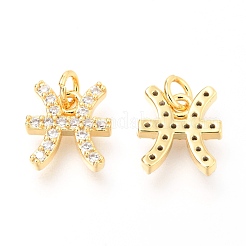 Brass Micro Pave Clear Cubic Zirconia Charms&nbsp;ZIRC-O036-30G-B