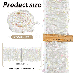 Fringe Polyester Lace Ribbon&nbsp;DIY-WH20062-40A