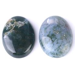 Natural Indian Agate Cabochons&nbsp;PW-WG8E62B-04