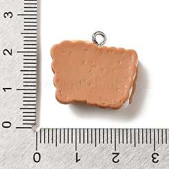 樹脂チャーム  模造食品  白金鉄パーツ  クッキーチャーム  20x23x7.5mm  穴：2mm&nbsp;RESI-A038-02G