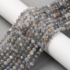 Natural Labradorite Beads Strands&nbsp;LS-G-RM250104-E3