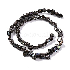 Natural Freshwater Shell Beads Strands&nbsp;BSHE-S304-06