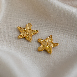 304 Stainless Steel Stud Earrings for Women&nbsp;DT4159