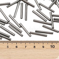 Glass Bugle Beads&nbsp;SEED-R028-2x20-A04