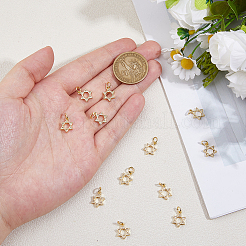 12Pcs Rack Plating Brass Micro Pave Cubic Zirconia Charms&nbsp;KK-HS0015-04