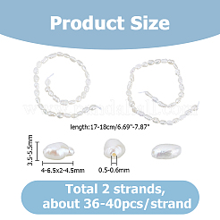 Natural Cultured Freshwater Pearl Beads Strands&nbsp;PEAR-HS0001-24