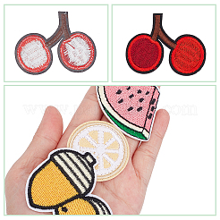 Fruit Computerized Embroidery Cloth Iron on/Sew on Patches&nbsp;DIY-WH0656-32