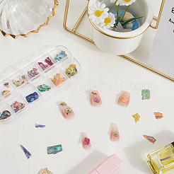 1 Set 12 Colors Shell Slices&nbsp;MRMJ-SP0001-05A