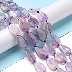 天然アメジスト ビーズ 連売り  ティアドロップ  16~21x12~14x4.5~5.5mm  穴：1mm  約19個/連  15.94''（40.5センチメートル）&nbsp;G-P478-06