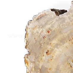 Natural Petrified Wood Bookends&nbsp;AJEW-H157-12