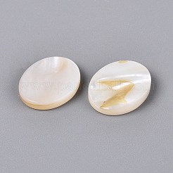 Natural Freshwater Shell Cabochons&nbsp;SHEL-S276-134A-01-1