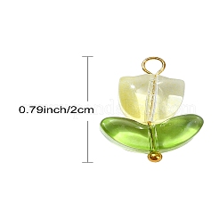 Handmade Lampwork Pendants&nbsp;PALLOY-YW028-01