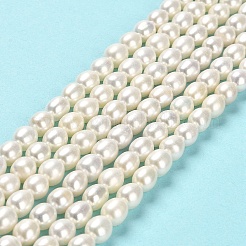 天然養殖淡水パールビーズ連売り  ライス  グレード6a+  フローラルホワイト  6.5~7.5x6~7mm  穴：0.6mm  約50個/連  14.76''（37.5センチメートル）&nbsp;PEAR-E016-167