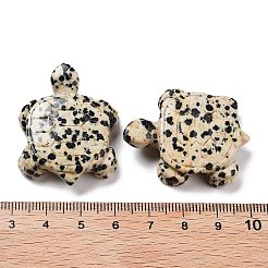 天然ダルメシアンジャスパー刻まれたビーズ  カメ  35~38x28~30x7.5~9mm  穴：3.4mm&nbsp;G-K383-12