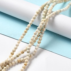 Natural Magnesite Beads Strands&nbsp;X-G-L555-02A-01