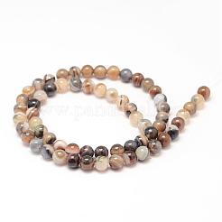 Natural Striped Agate/Banded Agate Bead Strands&nbsp;G-K155-A-6mm-14