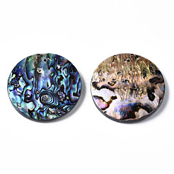 天然アワビシェル/パウアシェルペンダント  淡水シェル  フラットラウンド  40x6~8mm  穴：1.4mm&nbsp;SSHEL-N034-86