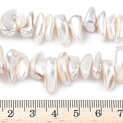 電着シェルパールビーズ  ナゲット  貝殻色  11~23x3~11x5~8mm  穴：0.7~0.9mm  15.35''（39cm）〜15.75''（40cm）&nbsp;BSHE-D301-01