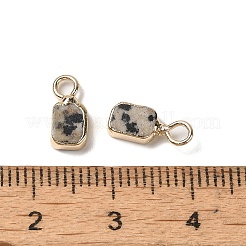 Natural Dalmatian Jasper Rectangle Charms&nbsp;G-Q169-07G-06