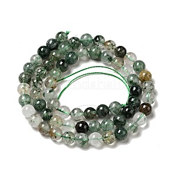 Natural Fuchsite Beads Strands&nbsp;G-K285-40A-1