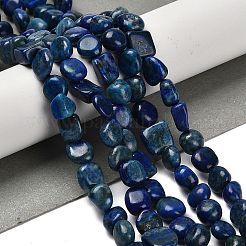 Natural Lapis Lazuli Beads Strands&nbsp;G-P497-01E-03B