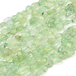 Natural Prehnite Beads Strands&nbsp;G-K395-B08-01