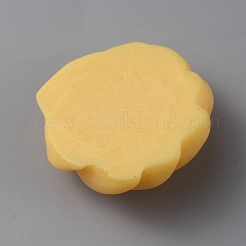 Opaque Resin Imitation Cookies Cabochons&nbsp;RESI-WH0038-01D