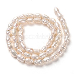 Natural Cultured Freshwater Pearl Beads Strands&nbsp;X-PEAR-J005-60