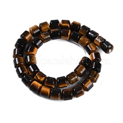 天然石タイガーアイビーズ連売り  コラム  10x10mm  穴：1.4mm  約40個/連  15.47インチ（39.3cm）&nbsp;G-L604-E03-01