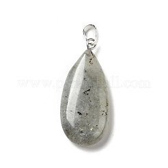 Natural Labradorite Pendants&nbsp;G-P474-01P-07