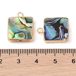 天然パウアシェルペンダント  真鍮の縁取りの四角いチャーム  ゴールドカラー  18x14.5x3.5mm  穴：1.8mm&nbsp;SHEL-P017-21G