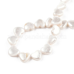 Natural Freshwater Shell Beads Strands&nbsp;SHEL-N026-220B