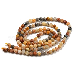 Natural Crazy Lace Agate Beads Strands&nbsp;G-A129-3mm-17