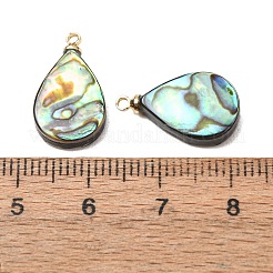 天然アワビ貝ペンダント  真鍮パーツ  ティアドロップチャーム  18x10.5x3.5mm  穴：1.2mm&nbsp;SH-CJC0AC7-01B-G