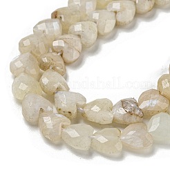 Natural Rainbow Moonstone Beads Strands&nbsp;G-P544-E06-01
