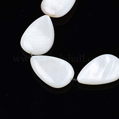 Natural Sea Shell Beads Strands&nbsp;SSHEL-Q296-43
