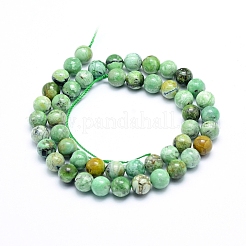 Natural Variscite Beads Strands&nbsp;G-G823-02-8mm