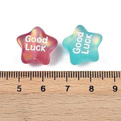 Uv platig 透明樹脂エナメルビーズ  単語幸運と星  艶消し  ミックスカラー  15.5x17x11mm  穴：1.4mm&nbsp;RESI-L047-20