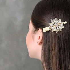 2組2色の花型合金ラインストーンワニ口ヘアクリップ  女性の女の子のためのヘアアクセサリー  プラチナ·ゴールデン  36x60x13mm  1ペア/カラー&nbsp;PHAR-GO0001-05