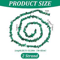 Natural Freshwater Shell Beads Strands&nbsp;BSHE-WH0006-05D