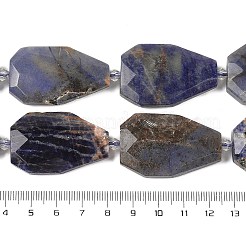Natural Sodalite Beads Strands&nbsp;G-P548-B24-01