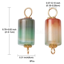 Natural Peacock Agate Connector Charms&nbsp;PALLOY-YW0001-54