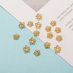 Tibetan Style Alloy Bead Caps&nbsp;LS-K08A7011