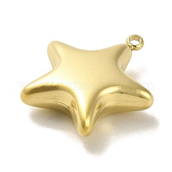 304 Stainless Steel Pendants&nbsp;STAS-L022-115G