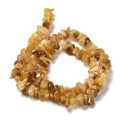 Natural Amber Beads Strands&nbsp;G-L095-N01-01